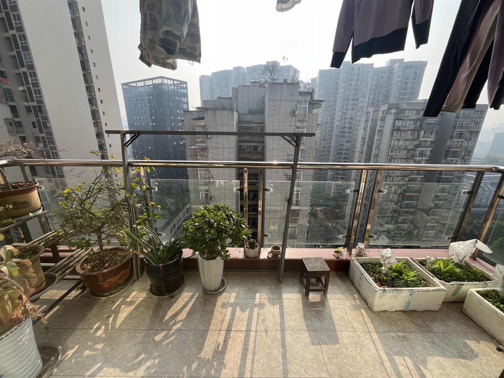 海星園