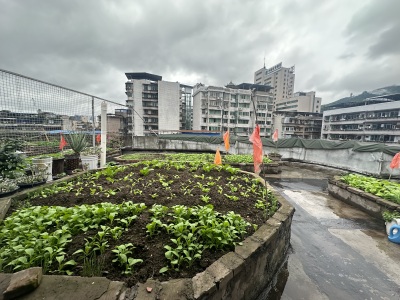 运管处家属院