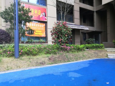 碧桂园梦里巴国二期