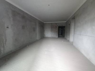 罗浮第壹区