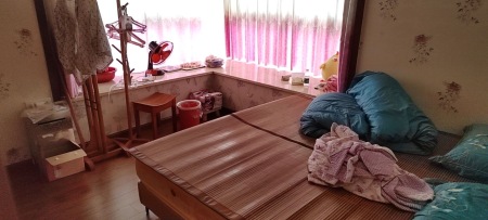 南天丽都
