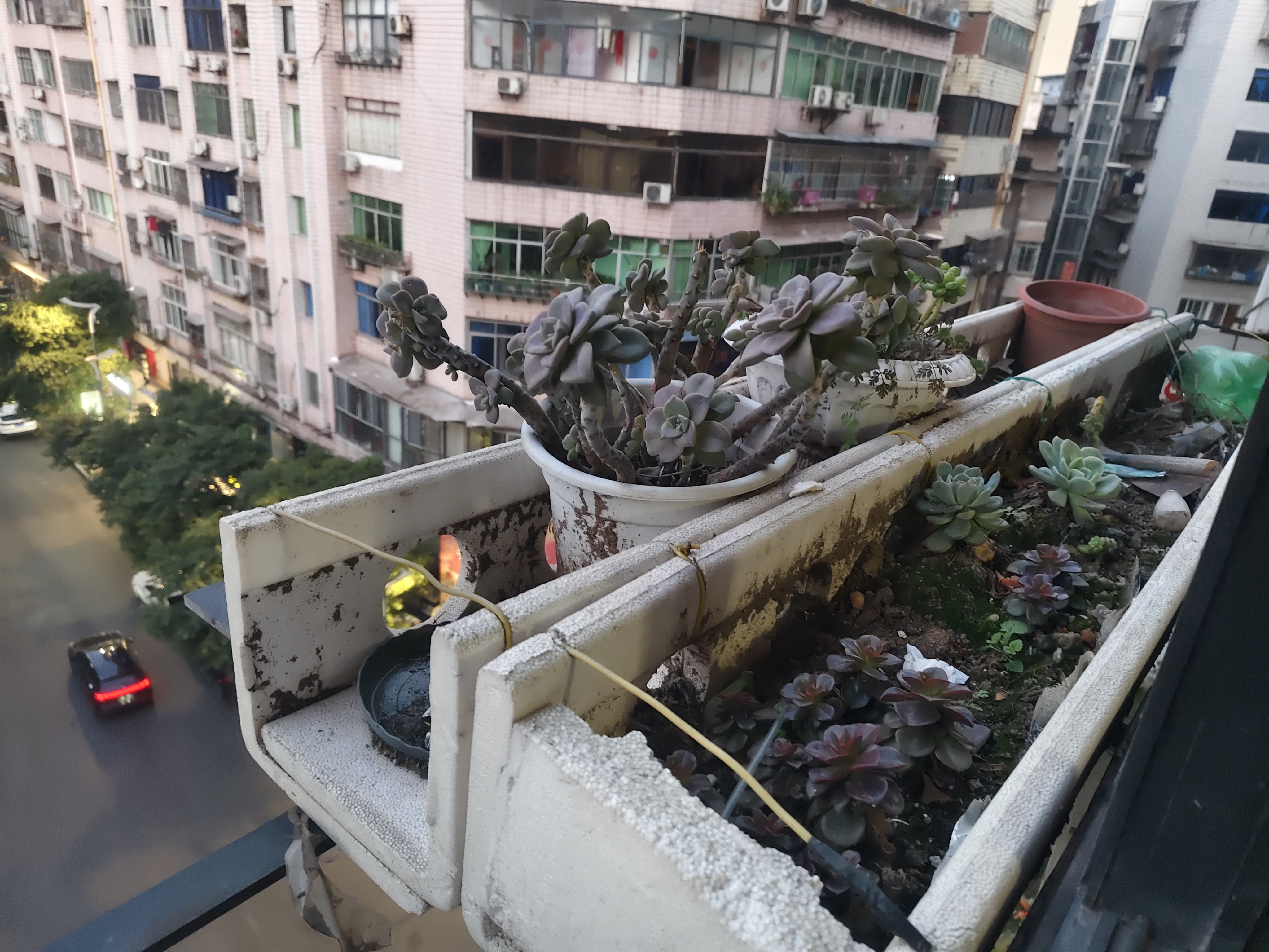 东城壕巷黄龙寺1号房