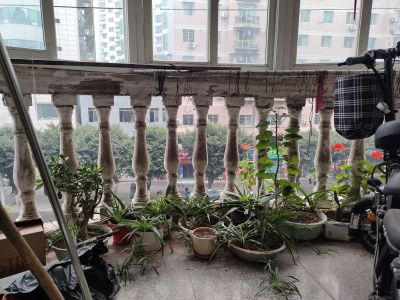 南源综合楼