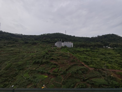 绥定府·花熙樾