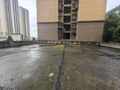 森林家苑