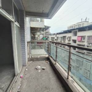 金港世纪城