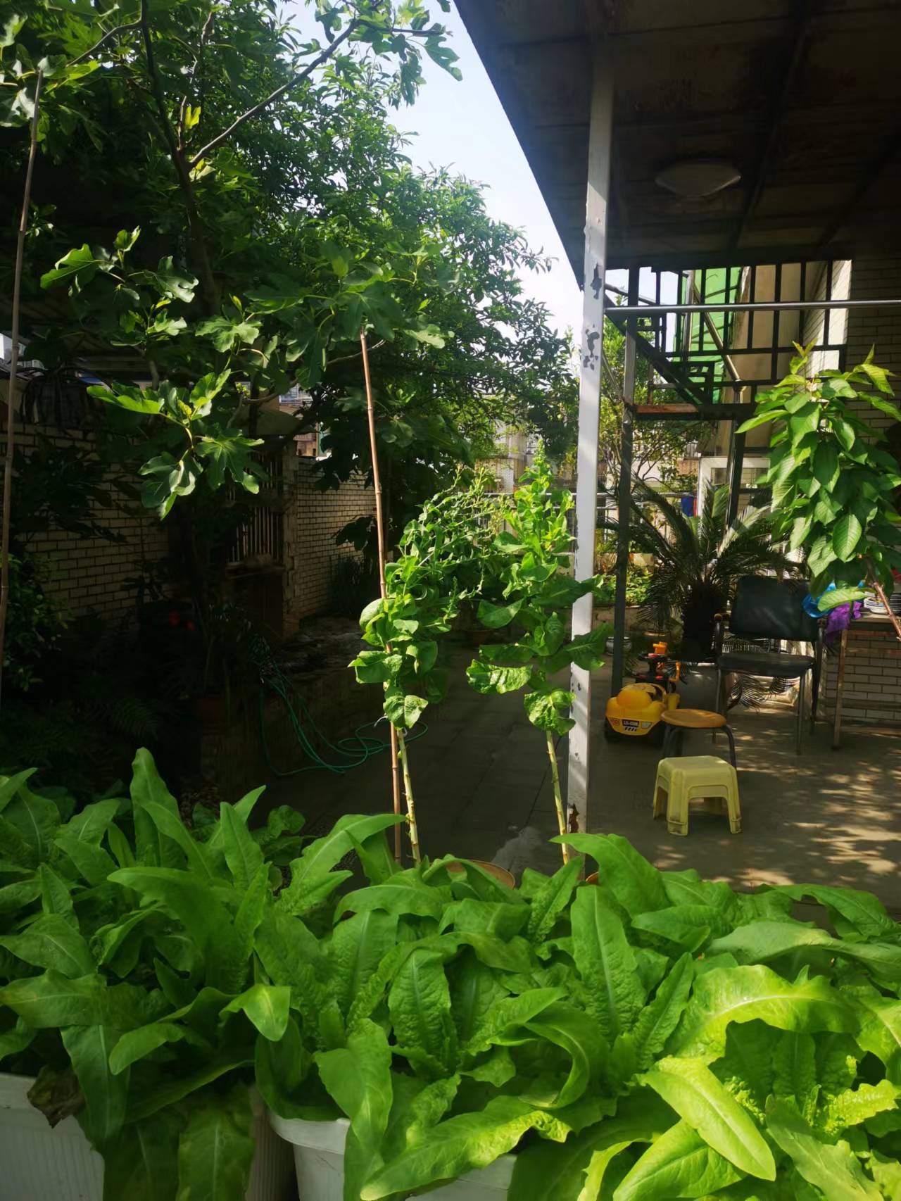 通錦國際新城一期