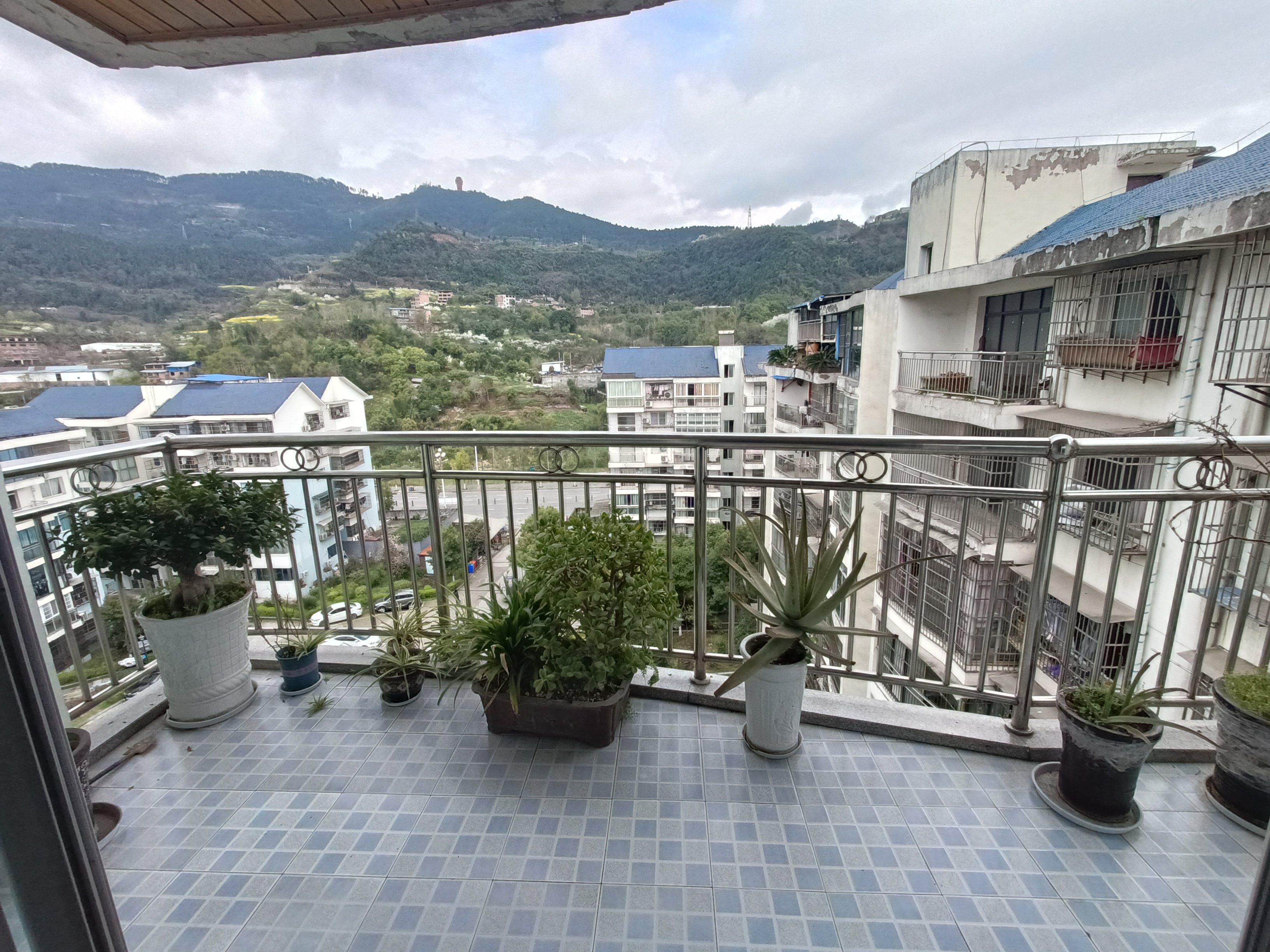 阳光家园