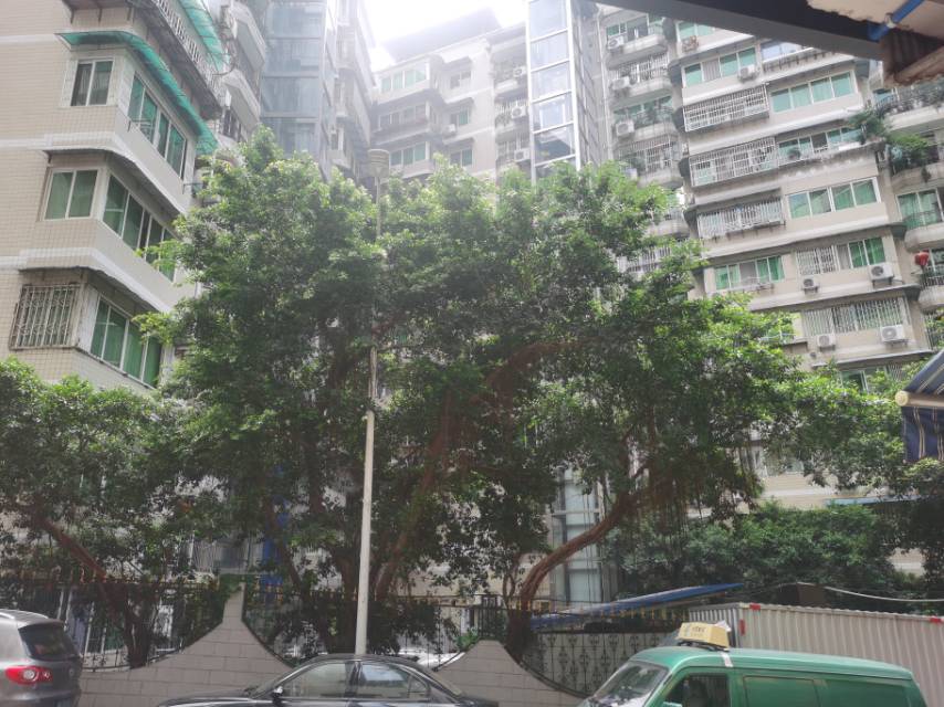軍分區聯建房
