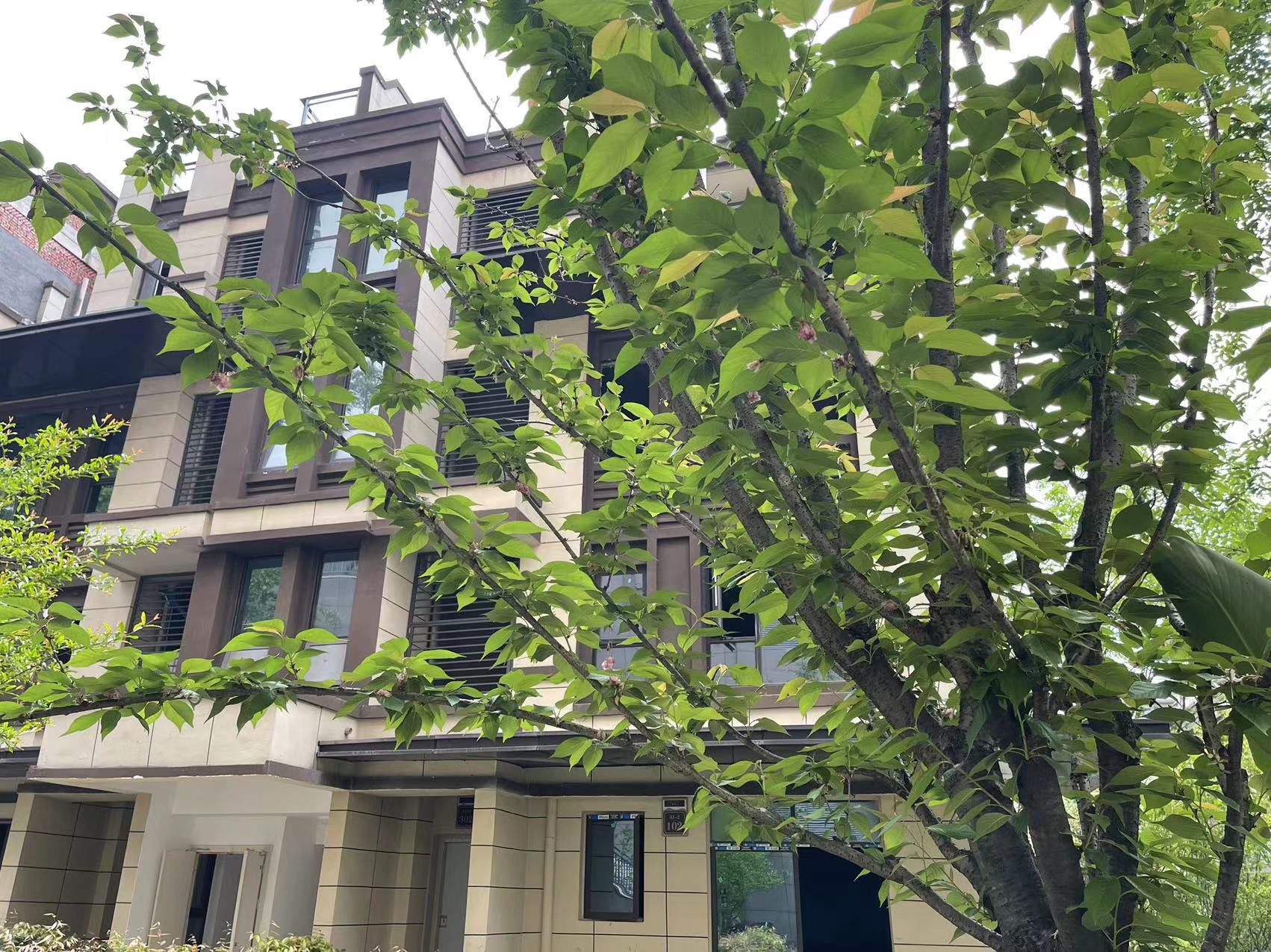 天譽譽府別墅