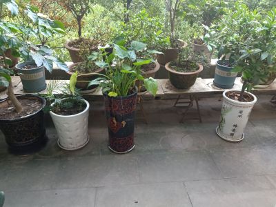 新桥电力公司家属院