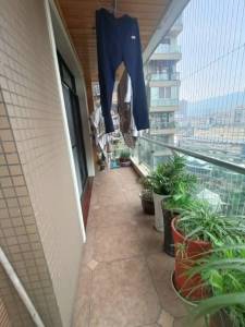 罗浮第壹区