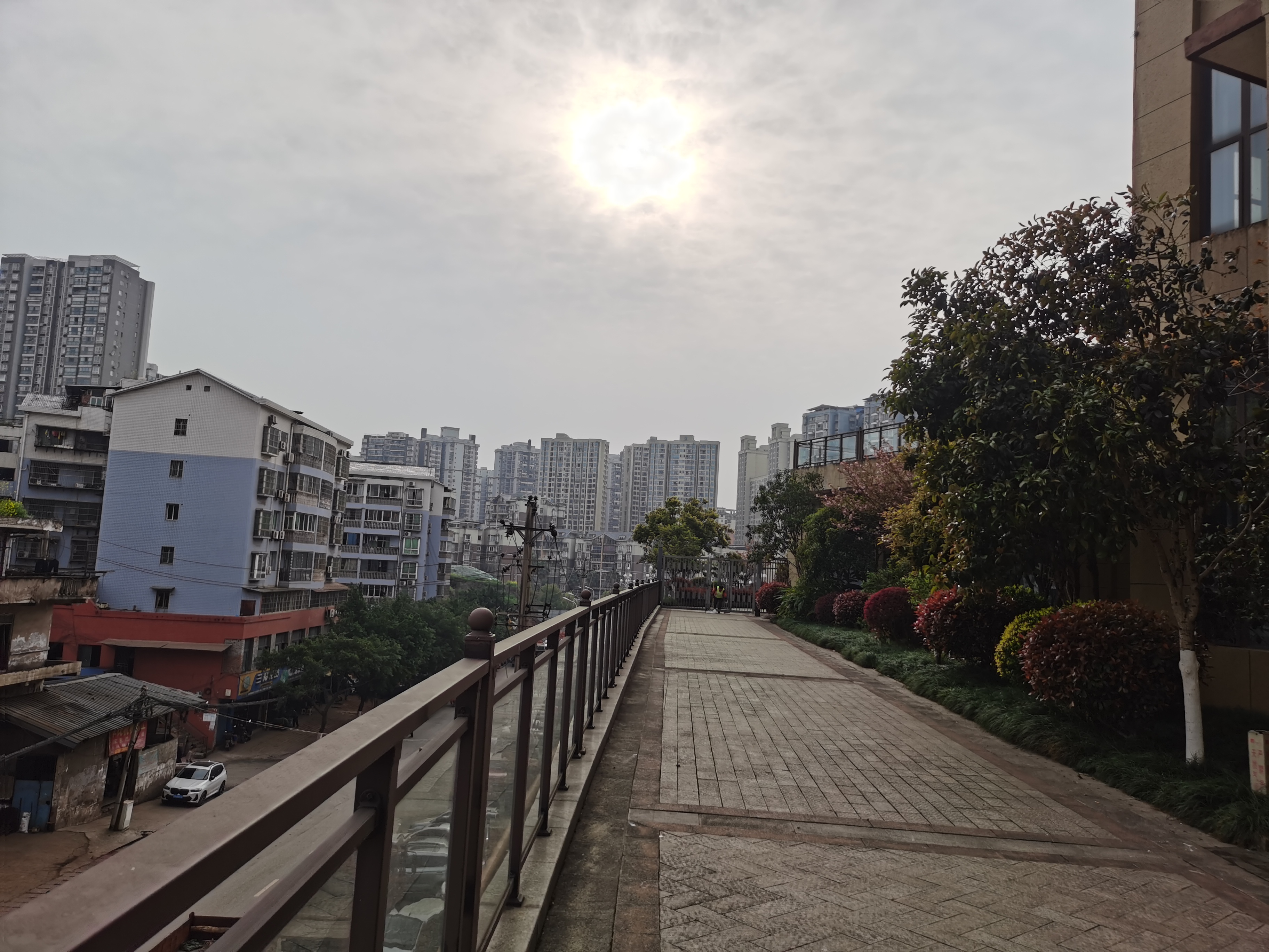 羅浮陽光心殿
