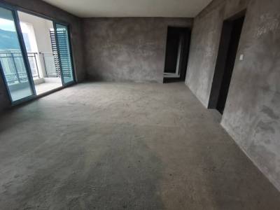 （凤凰大道）铁投莲花府邸一期 4房2厅2卫 南