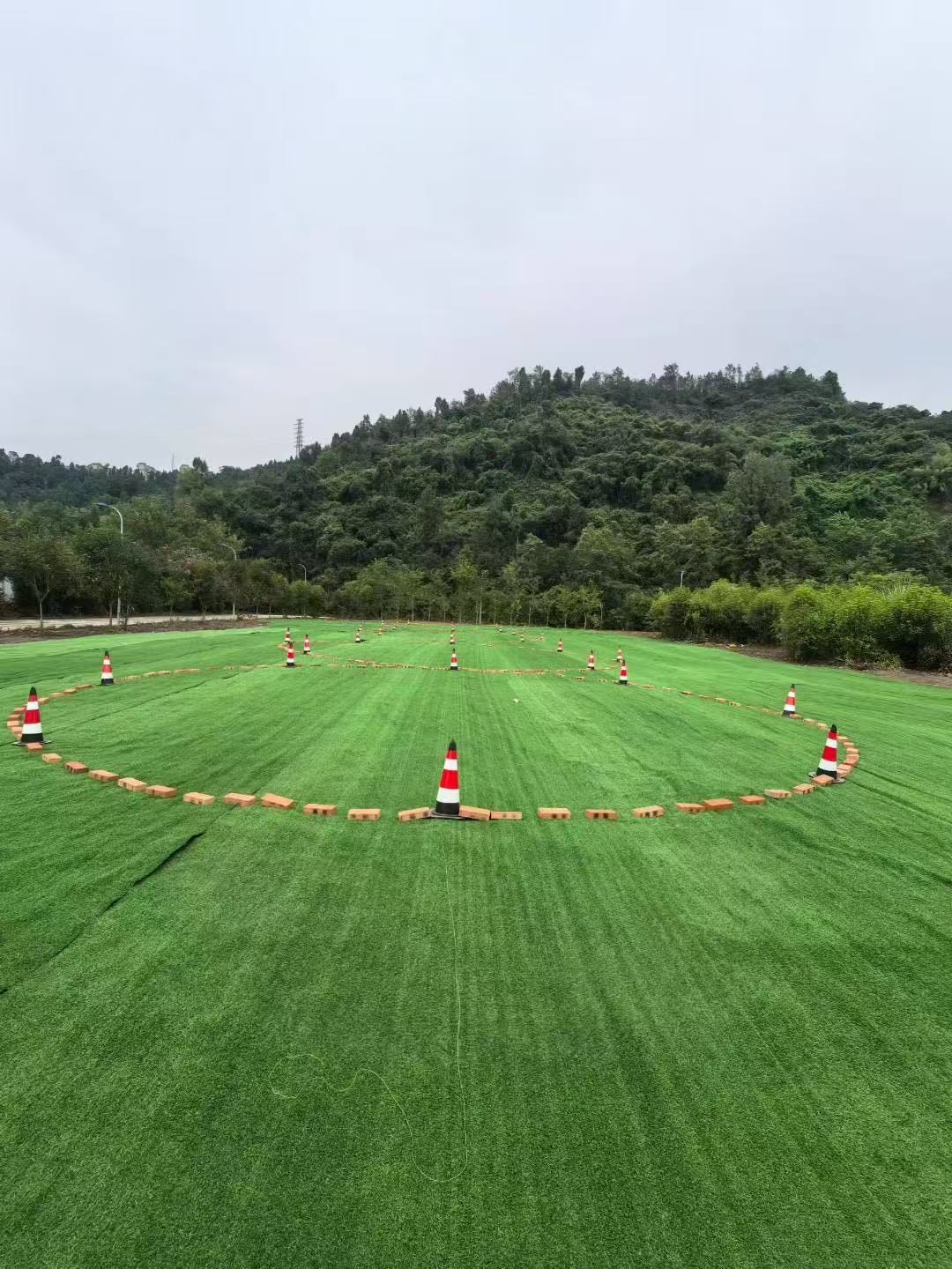 阳光梵迪亚