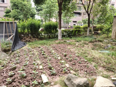 中迪广场一期