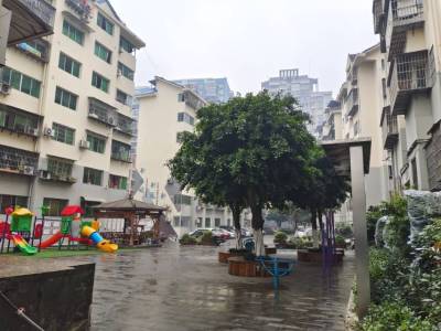 春兰小区