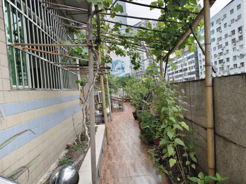 陽光新跨越（好吃街）