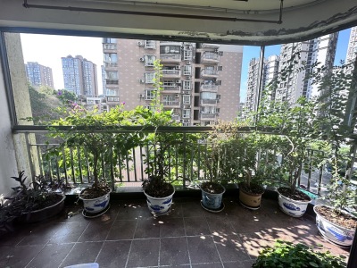 广电花园