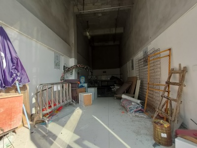 （北外）碧桂园凤凰台 1房1厅1卫 南
