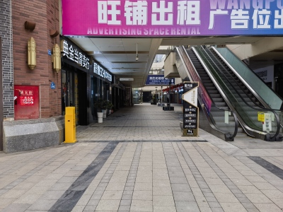 中迪红星商业广场一期