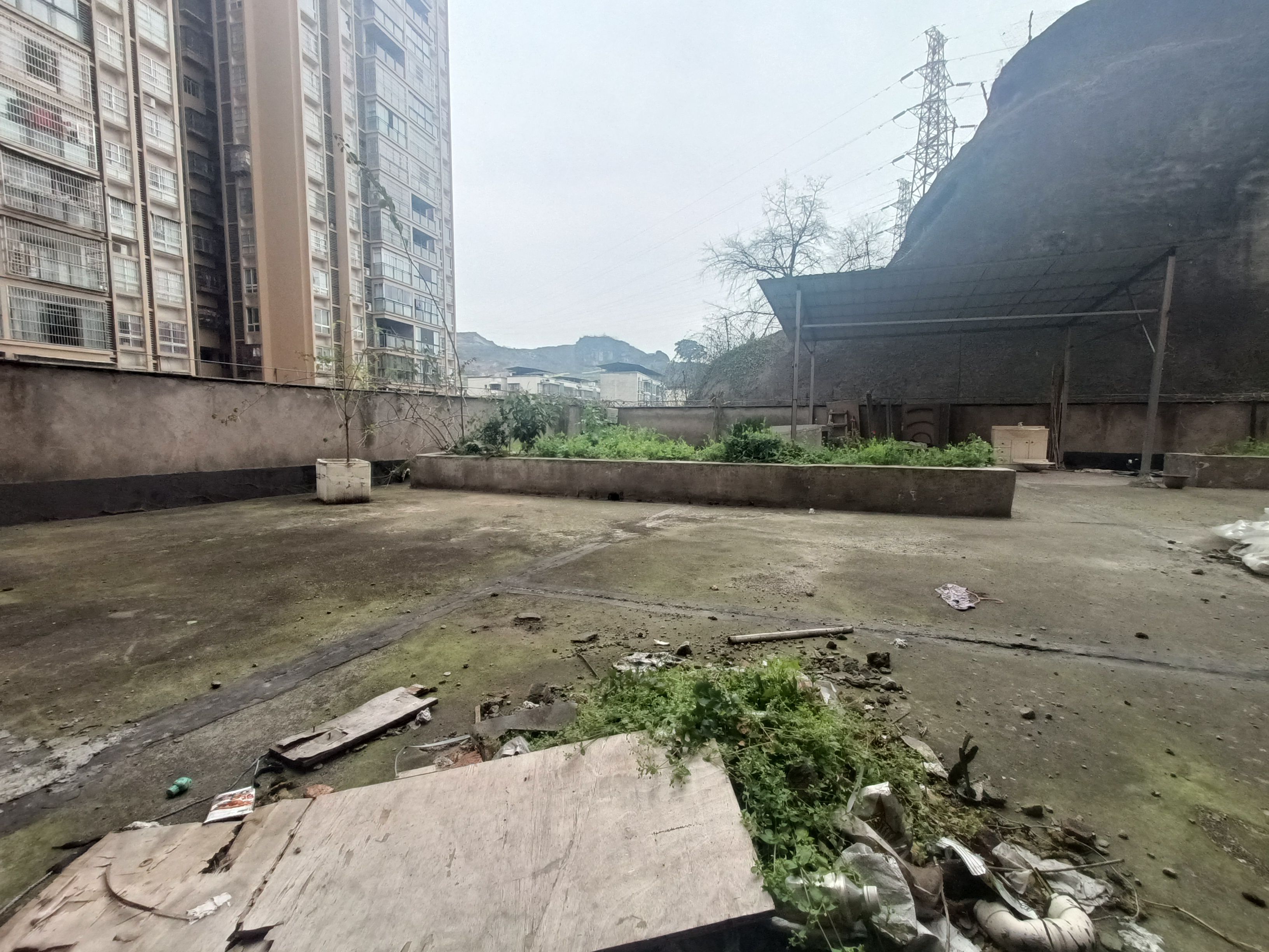 中環花園