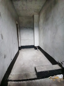 洲河新南岸
