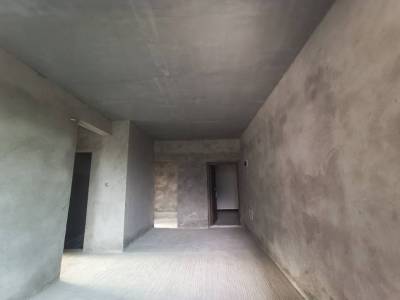九龙湖达竹家园B区