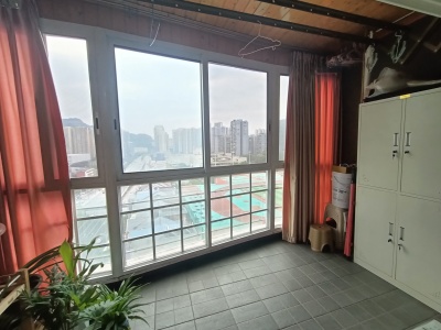 罗浮知天下