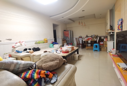 金地阳光