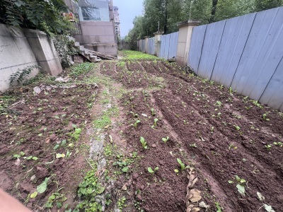四季花城二期（B区）