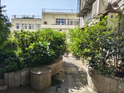 文华街邮电局家属院