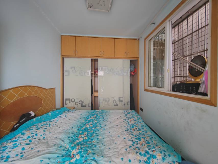 自由心岸