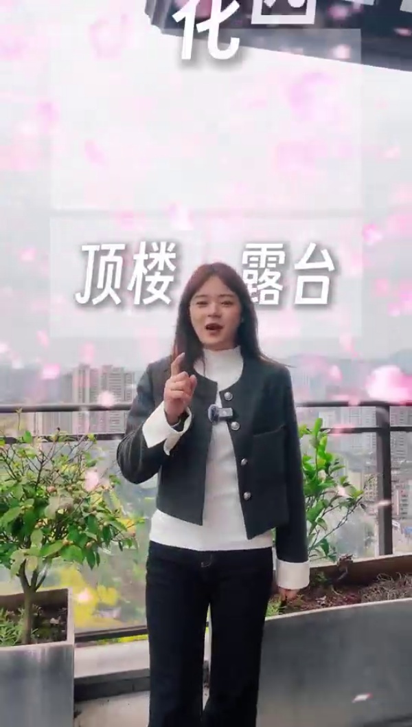 碧桂园梦里巴国二期