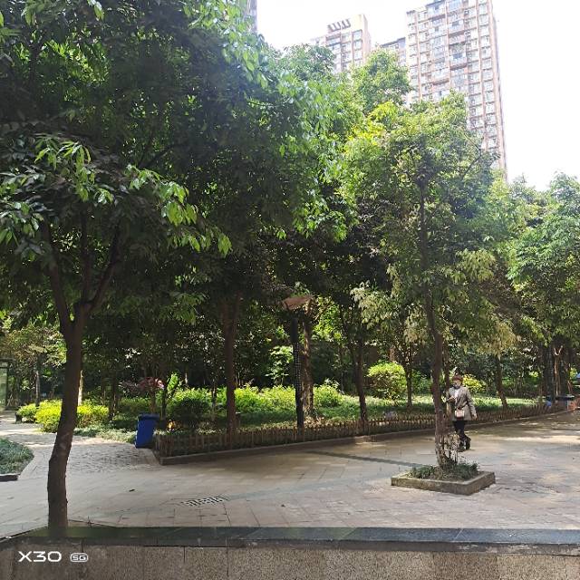 凤翎锦绣