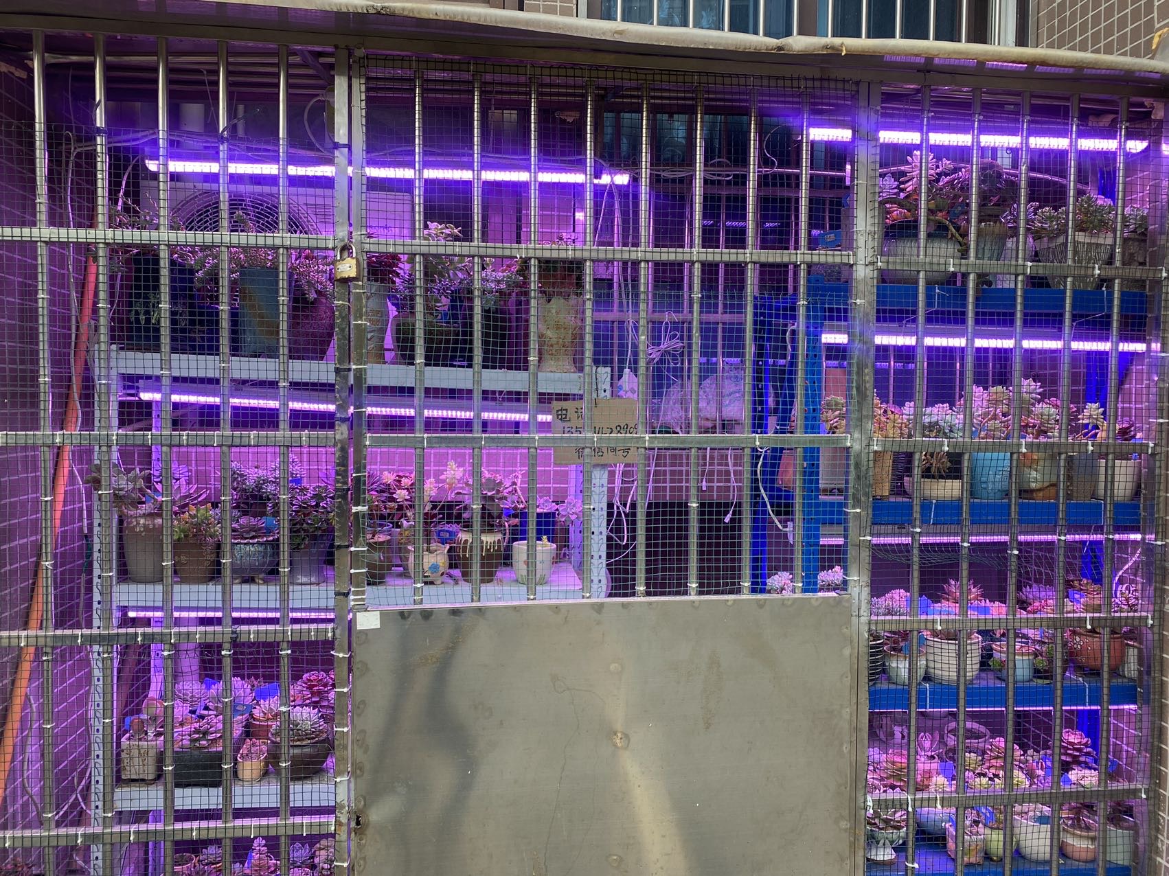 萬興世家
