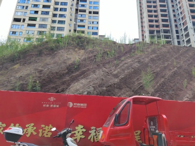 邦泰理想城