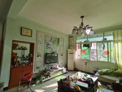 （升华广场）南外镇镇政府家属院 4房2厅2卫 东