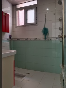 罗浮道城