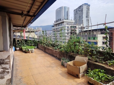 通川中路25号
