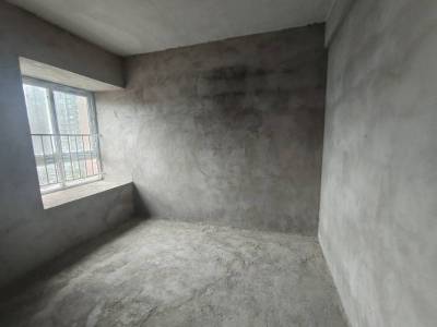 金鼎国际