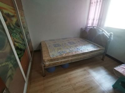 自由心岸