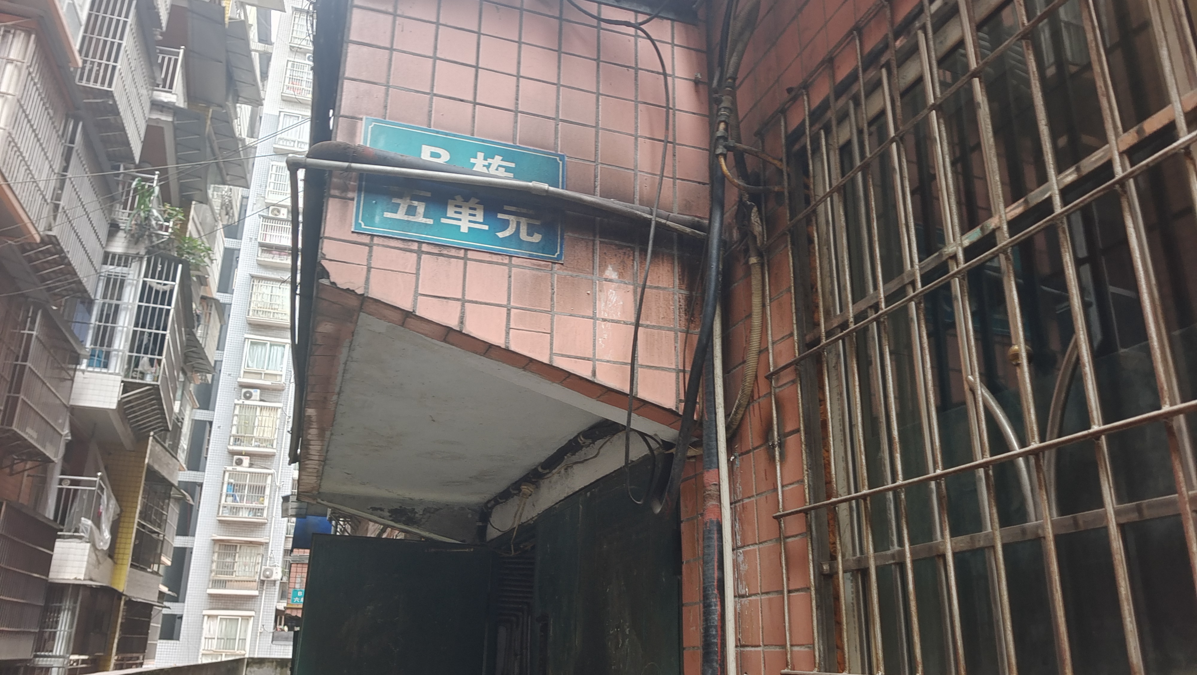 龍脈世家