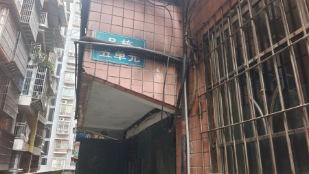 龙脉世家