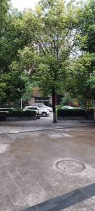 中迪公馆