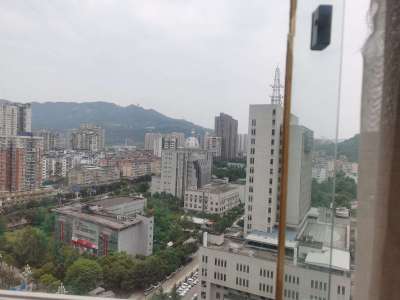 棕榈岛