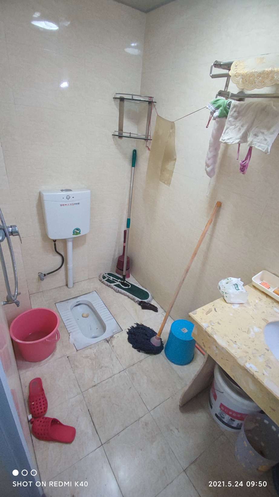 自由心岸