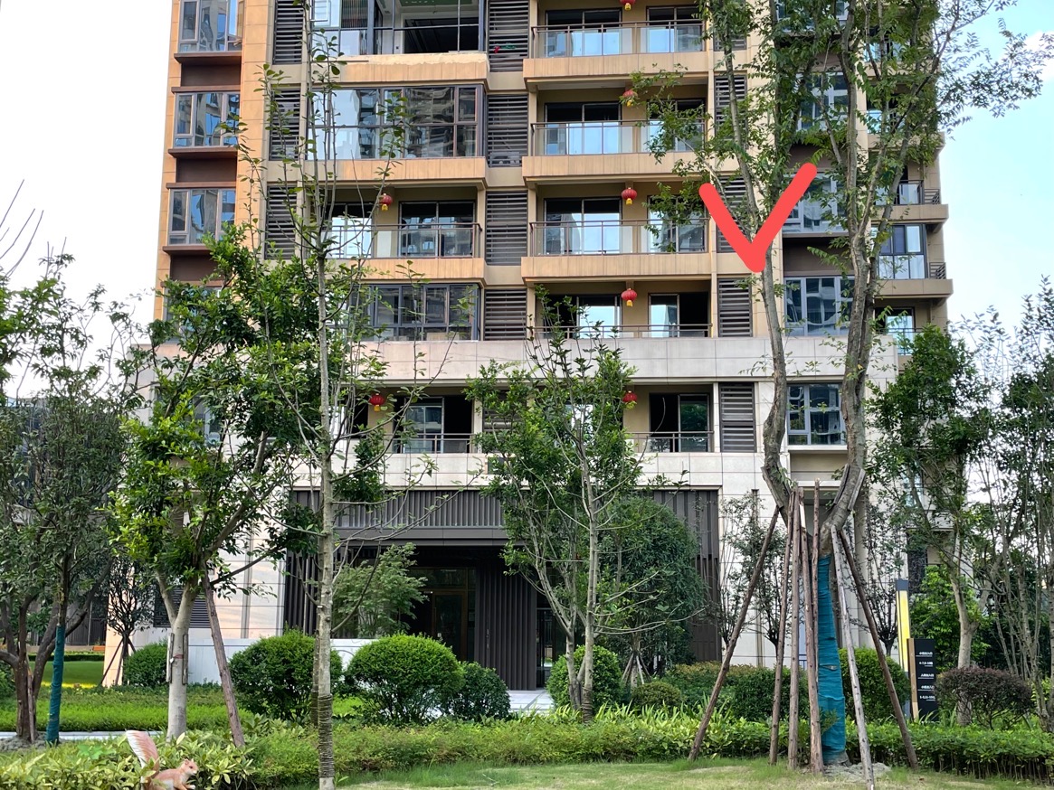 （马踏洞）绿地城一期 3室2厅2卫 南