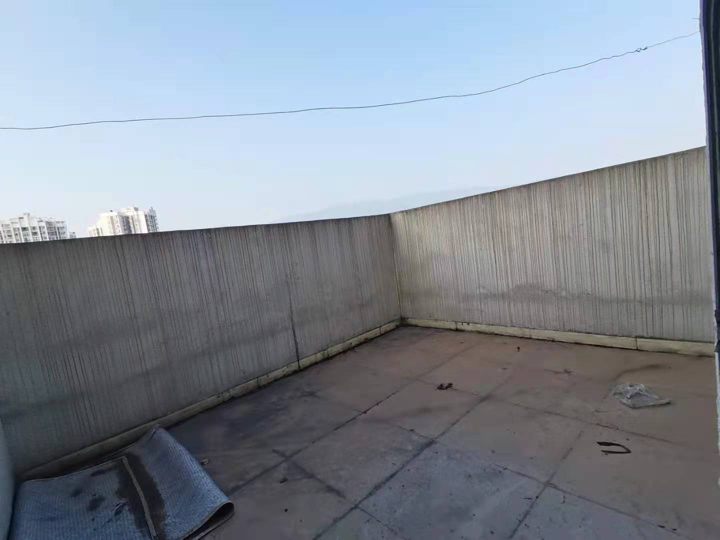 海星園