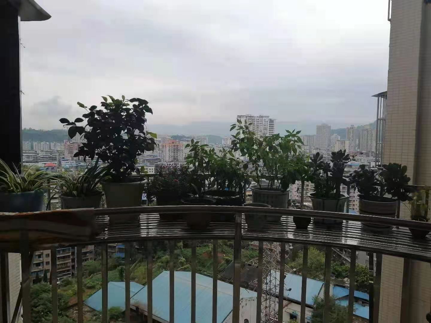 濱江風景